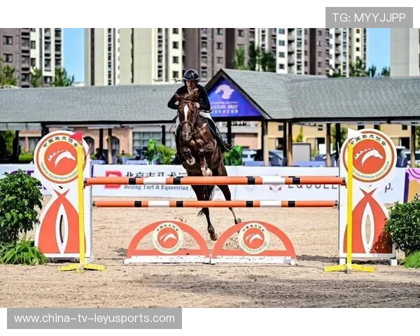 瑞士马术协会推出马匹健康管理系统，提升马匹福利。，瑞士马术俱乐部