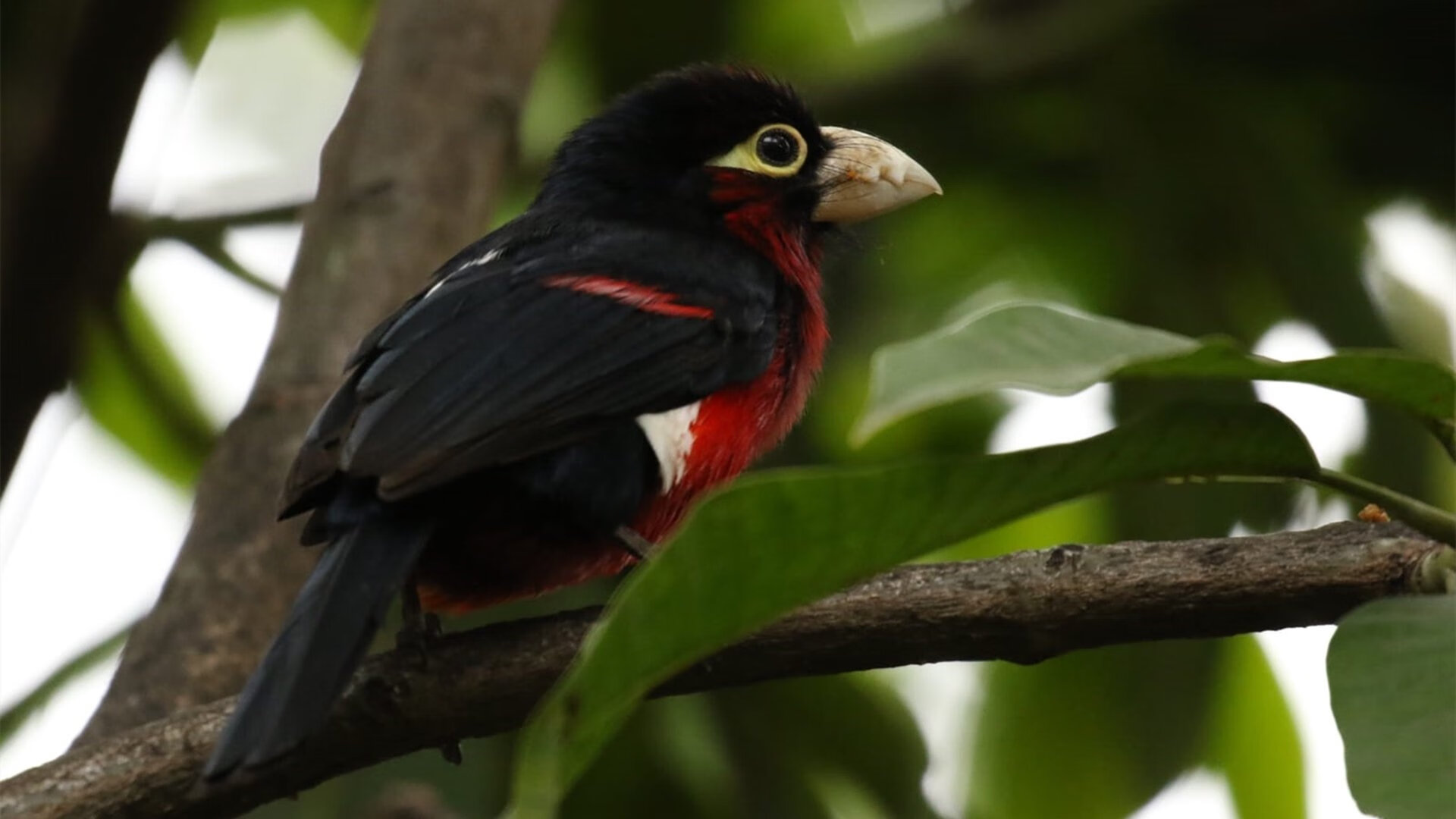 乐鱼体育官网投注-2025轻艇马拉松打造水上新地标，世界陆上赛艇马拉松