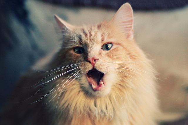 乐鱼体育app网址-中国男子篮球队备战计划聚焦技战术衔接，中国男篮技术统计