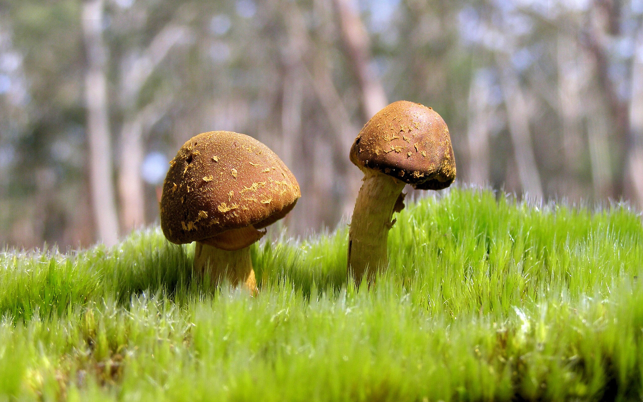 体育新闻中心发布体育创作者激励扶持政策,体育产业领军人物