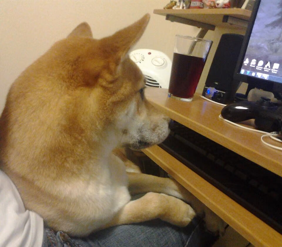 乐鱼体育官网-球员自然进步与转会数据变化之间关联分析，球员自由转会法案