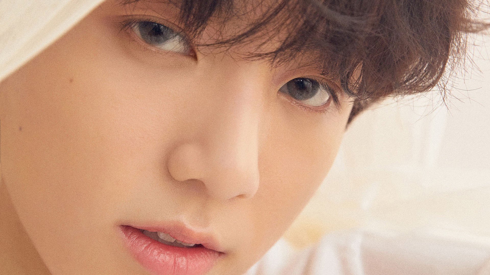 球员自然进步与转会数据变化之间关联分析,球员自由转会法案