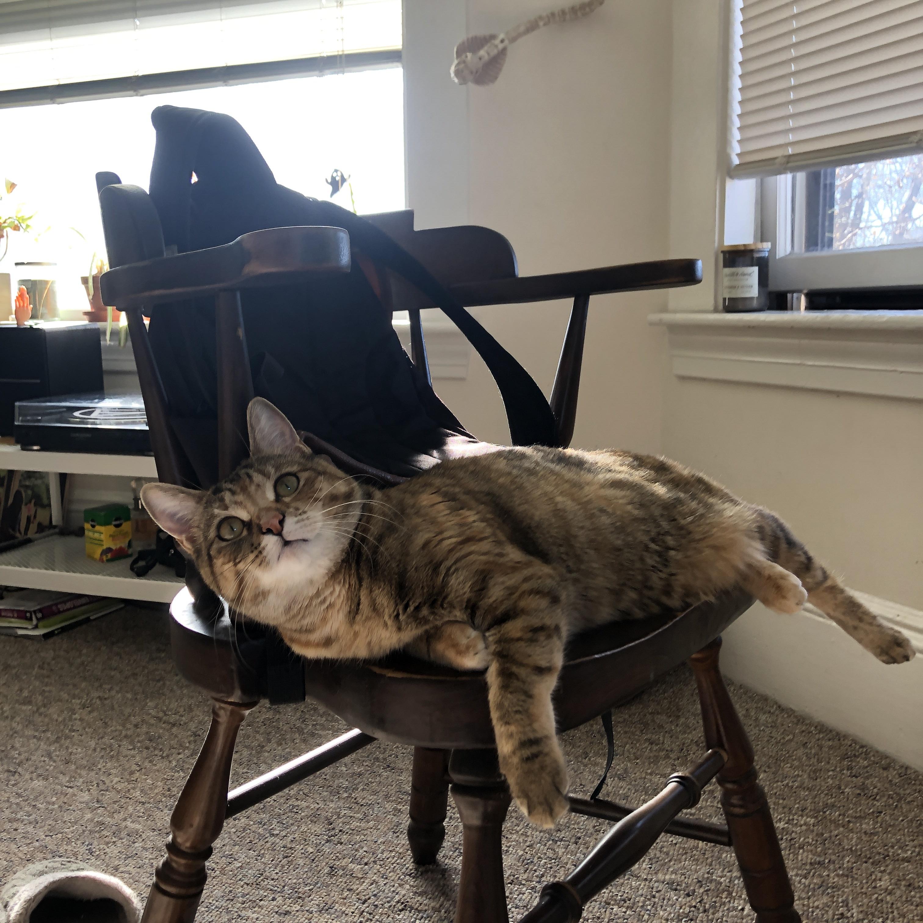 维拉控球主导多次组织破门尝试,维拉球队老板