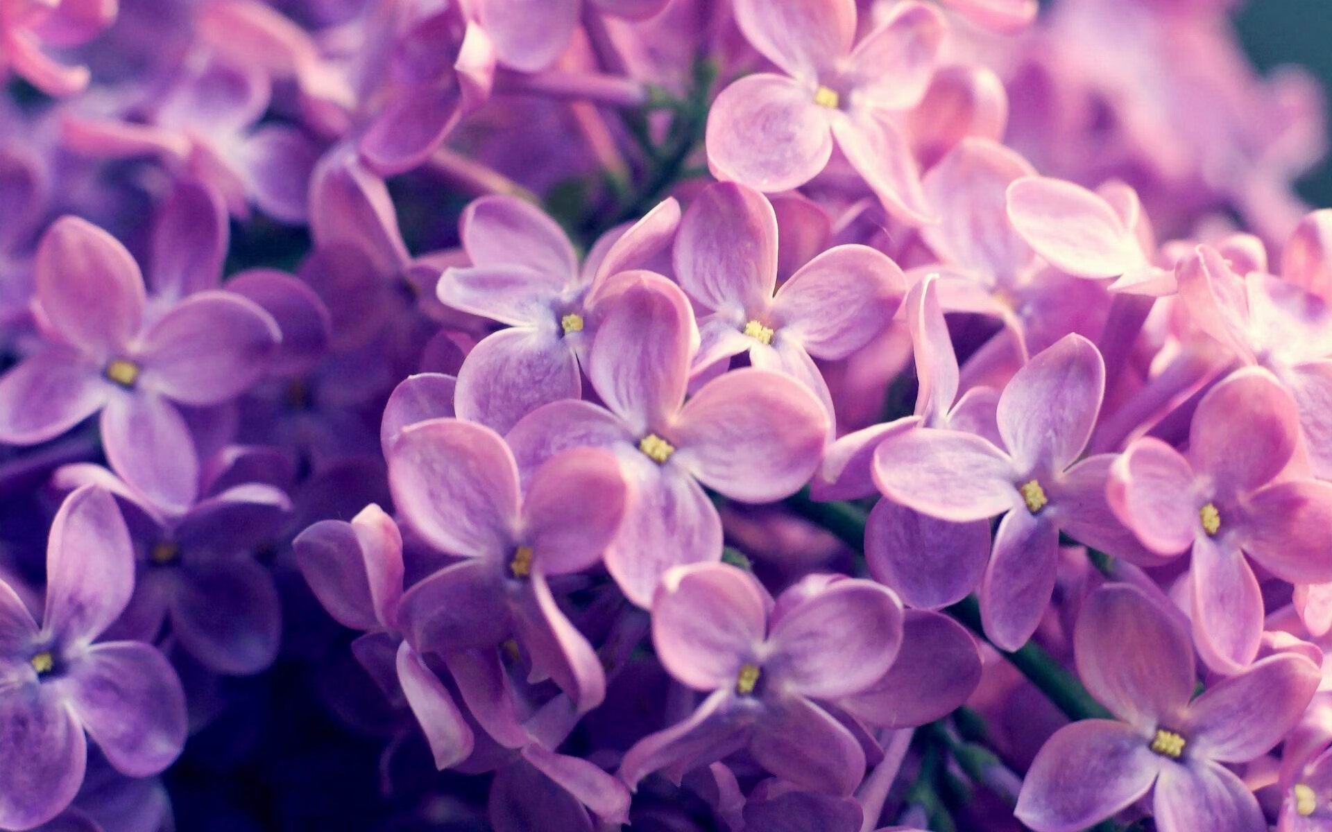 节奏强度是否决定比赛观赏性和紧张度,节奏强度是否决定比赛观赏性和紧张度呢
