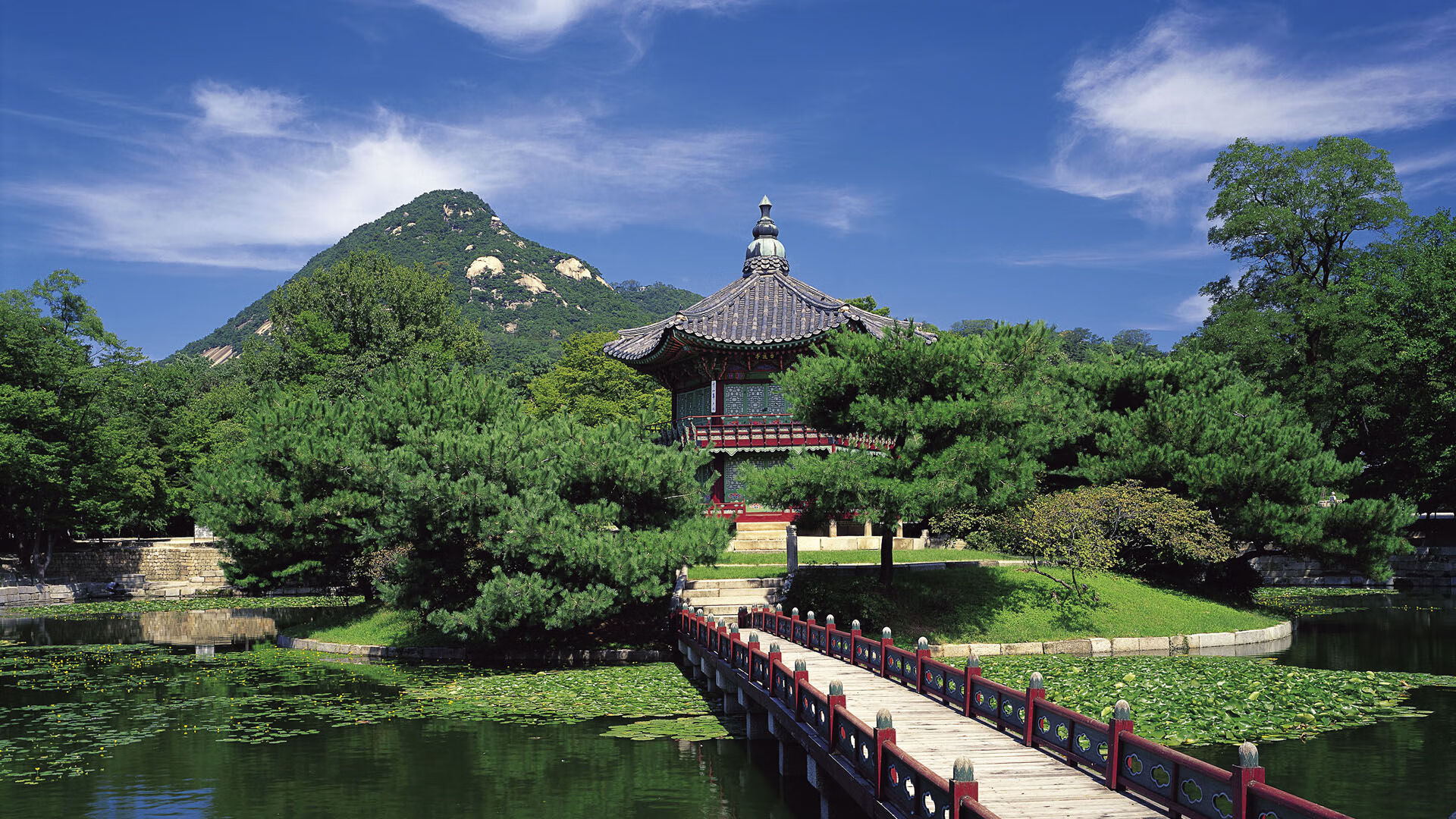 “美洲狮队冲击顶级橄榄球赛事,阿根廷橄榄球将再度崛起”