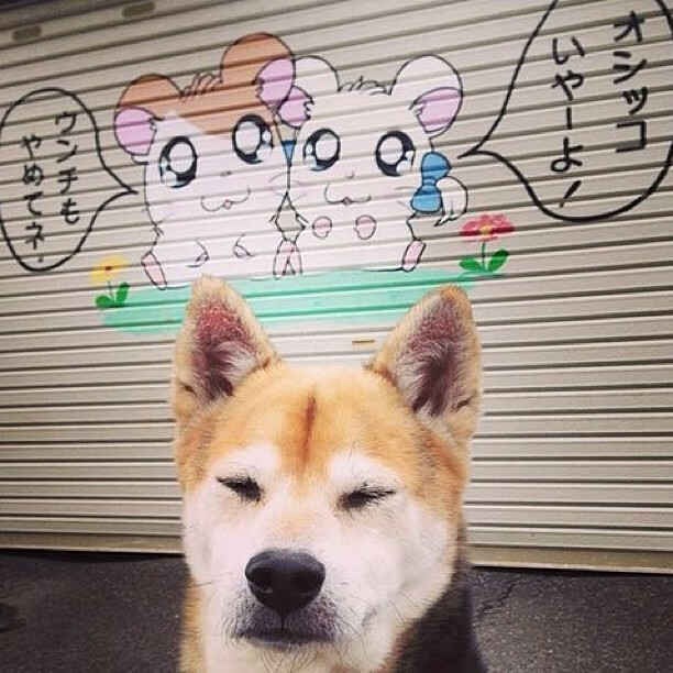 “费尔南多·比亚尔巴:阿根廷美洲狮队的新战术领导者”