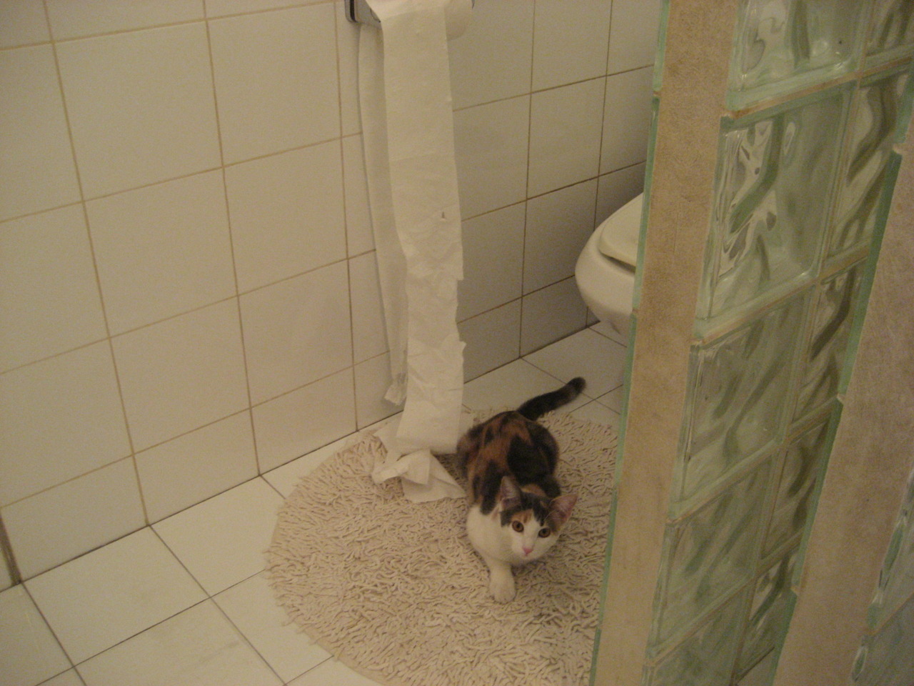 乐鱼官网优惠-中国足球职业联赛裁判员执法规范持续加强，足球裁判员管理办法