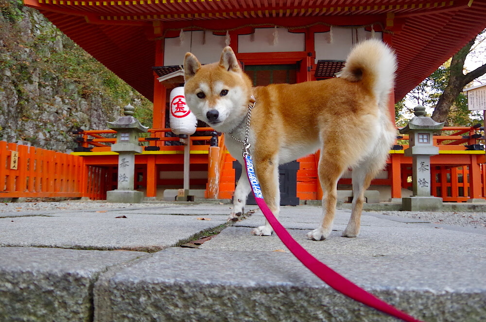 乐鱼体育在线官网-中甲俱乐部加大青训投入布局未来五年发展蓝图，中甲俱乐部靠什么赚钱