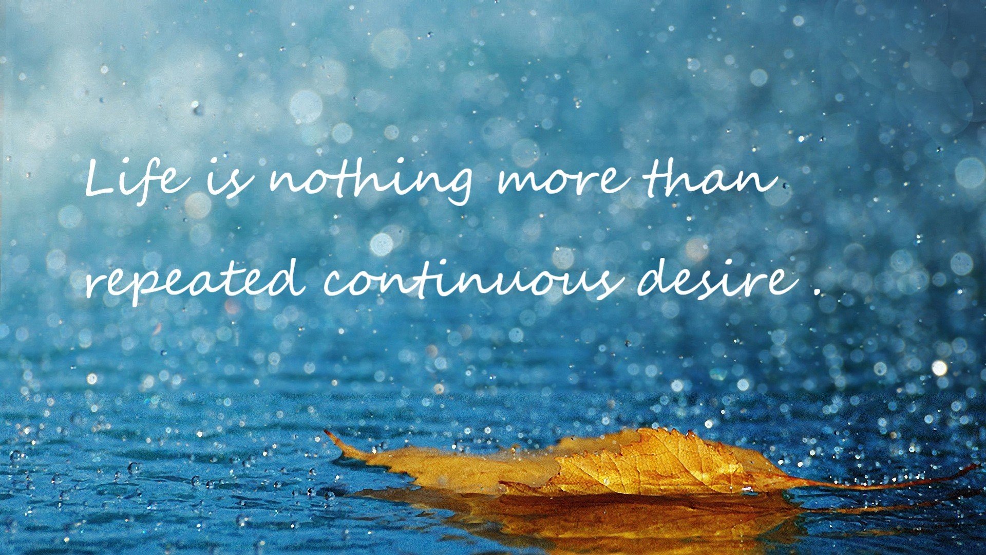 中超球队冬训安排更加精细化包括饮食恢复管理，中超冬歇期多长时间