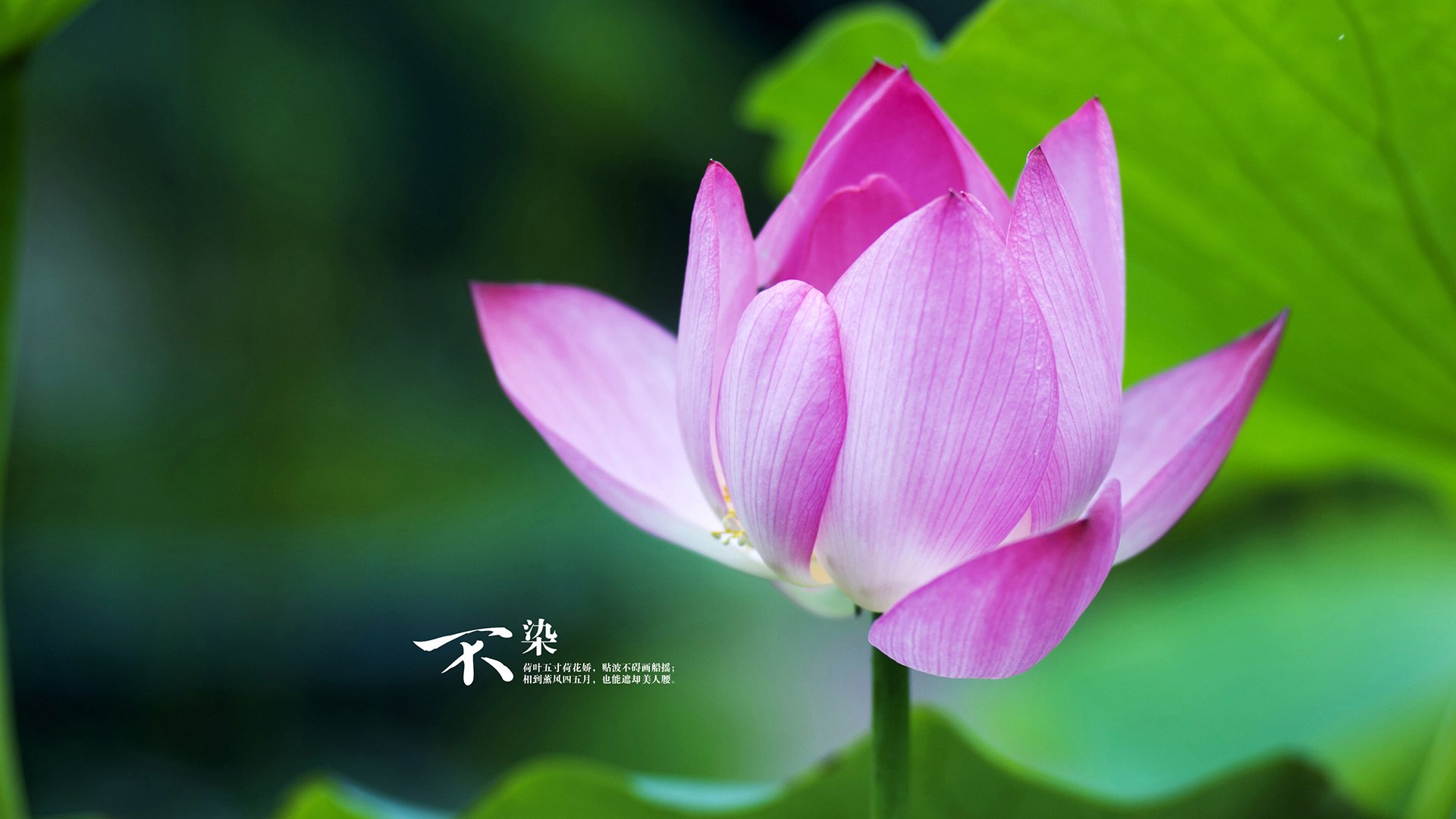 乐鱼体育app入口-体育新闻中心通报全民健身路径设施监管试点情况，全民健身路径是什么意思