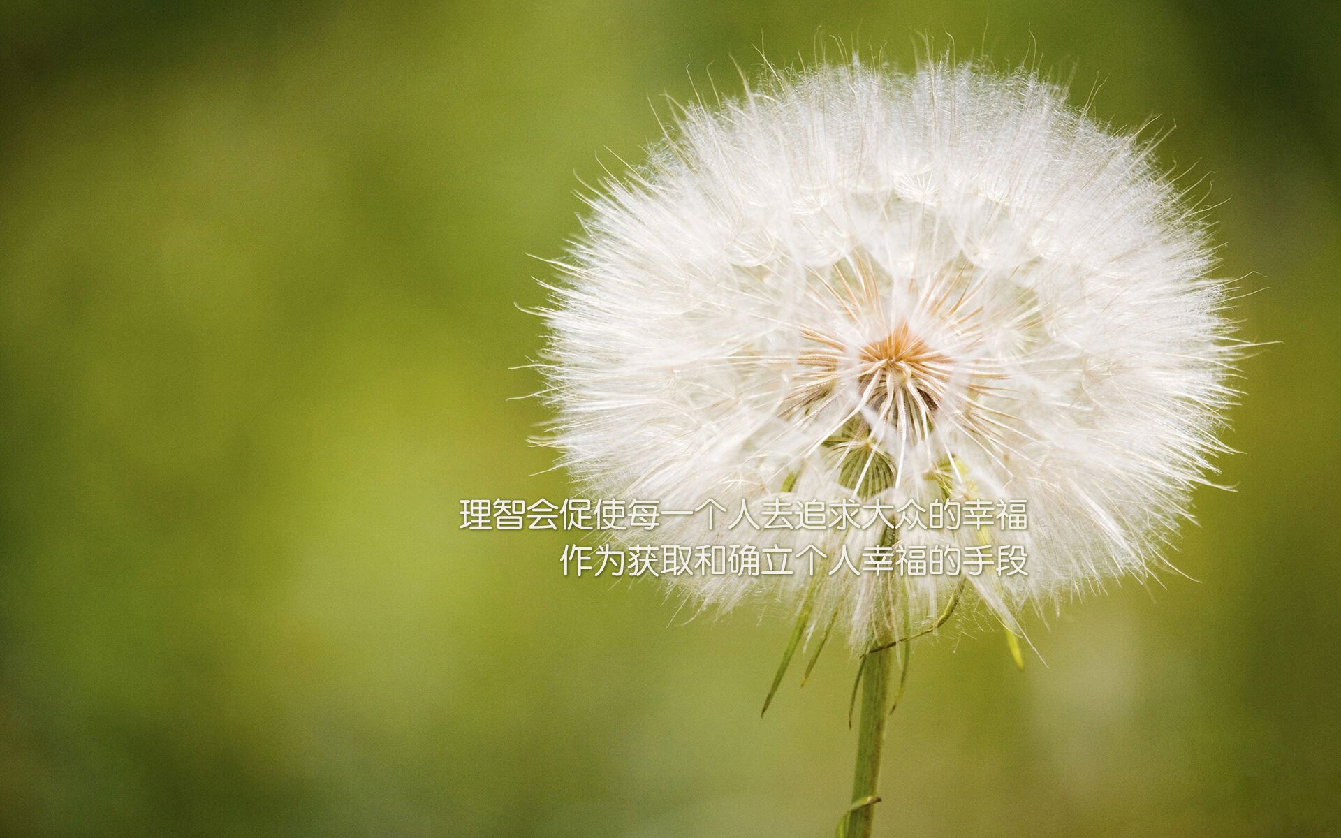 勇士主帅带队观看经典比赛强化战术意识，勇士主场震撼开幕