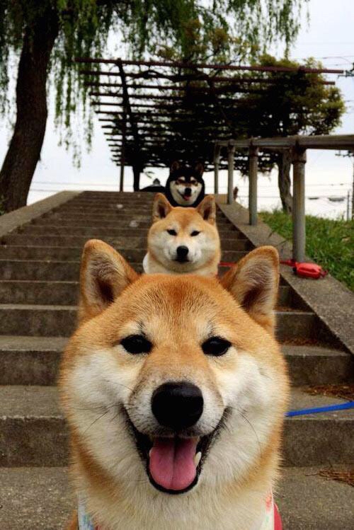 未来足球比赛将实现全场高清视频直播，观众沉浸体验提升，足球 未来