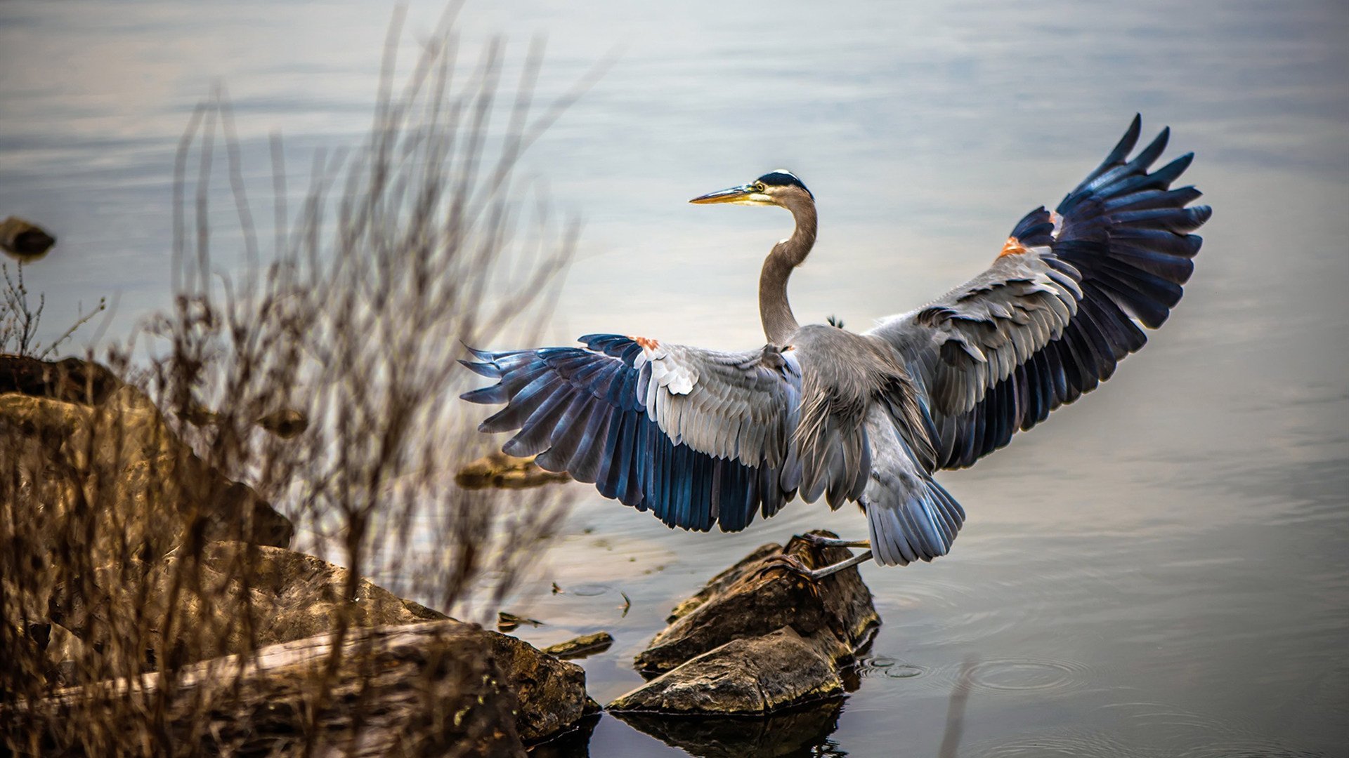 乐鱼体育登陆-李娜称孩子教育方式来自运动理念，李娜老师资料