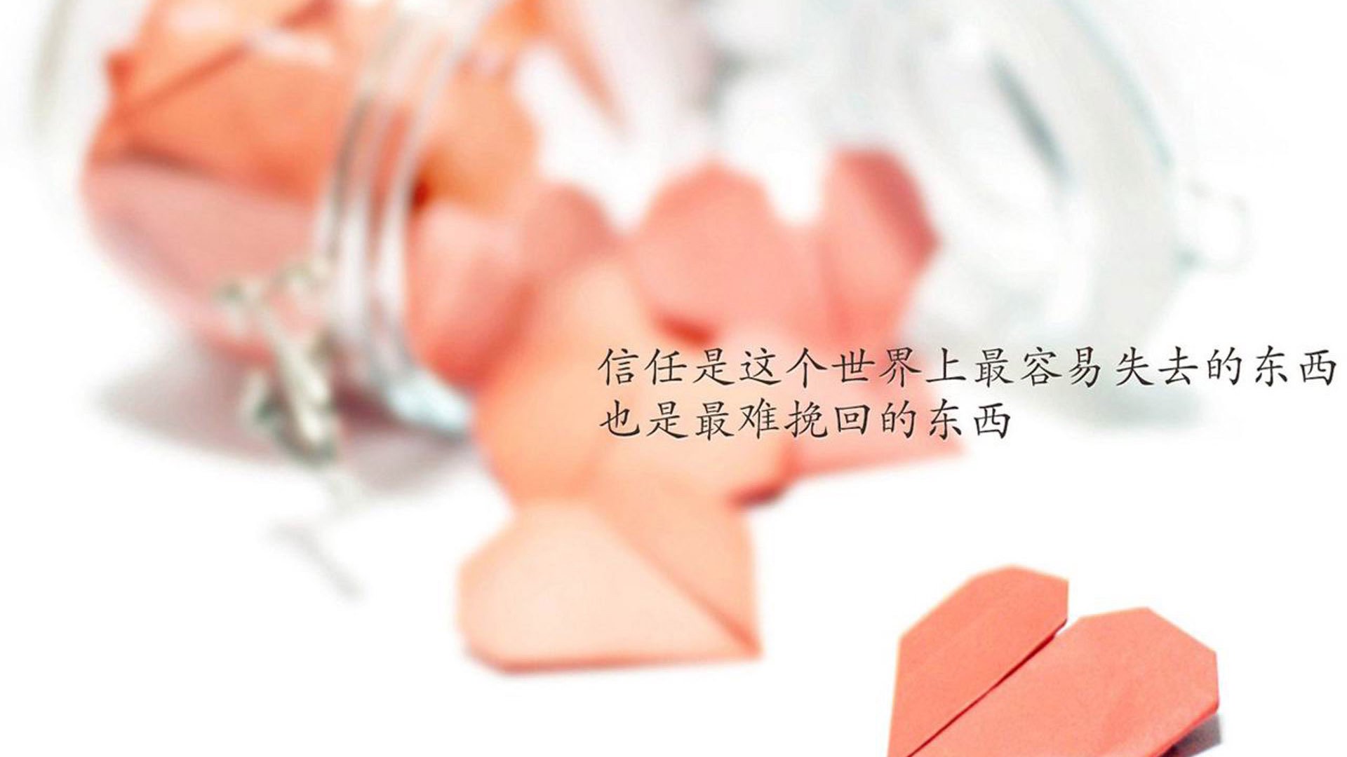 乐鱼体育 vip注册-森林狼训练场引进智能数据分析设备辅助评估，森林狼拓展训练基地