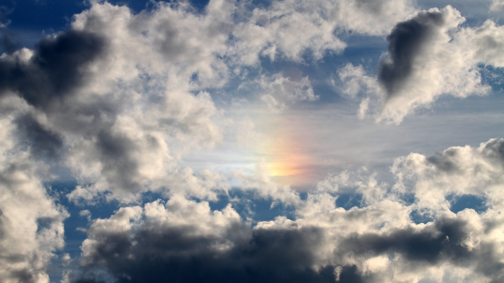 乐鱼体育官网入口-波兰女篮在欧洲锦标赛中展现出色实力，期待夺牌，波兰队欧洲杯战绩