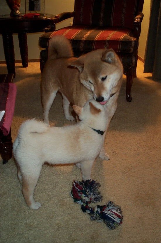 乐鱼体育入口-球队与科技公司合作开发投篮追踪系统，投篮技术分析